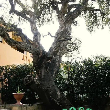 Appartement Casa Quercia - A Due Passi Dal Mare Olbia